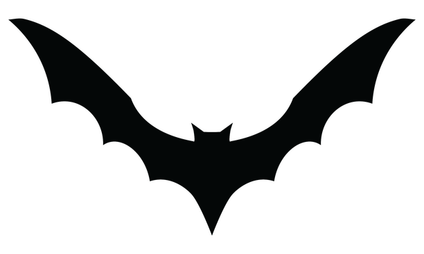 Black Bat