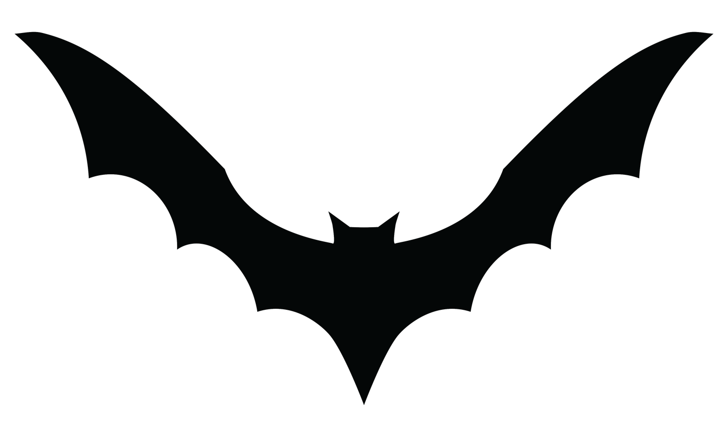 Rainbow Bat