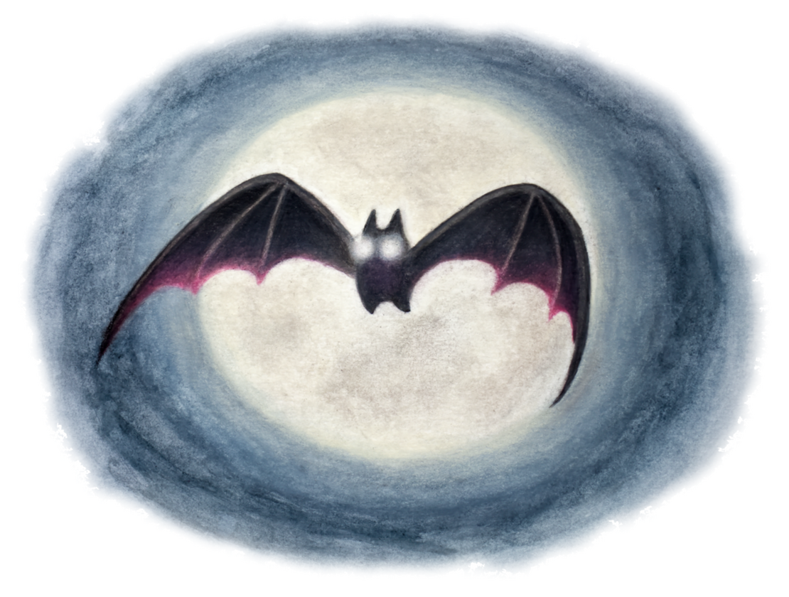Baby Bat